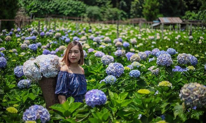 สภาพอากาศ ตำบล ป่งไฮ: เข้าใจภูมิอากาศท้องถิ่นเพื่อการใช้ชีวิตที่ง่ายขึ้น สภาพอากาศ ตำบล ป่งไฮ